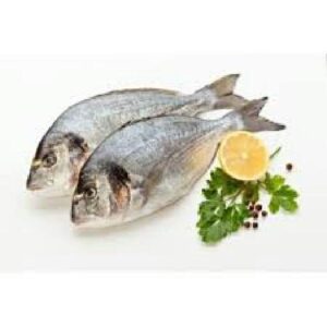 FISH BURGER