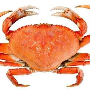 GRANDE BARQUETTE CRABE SURIMI 370cc