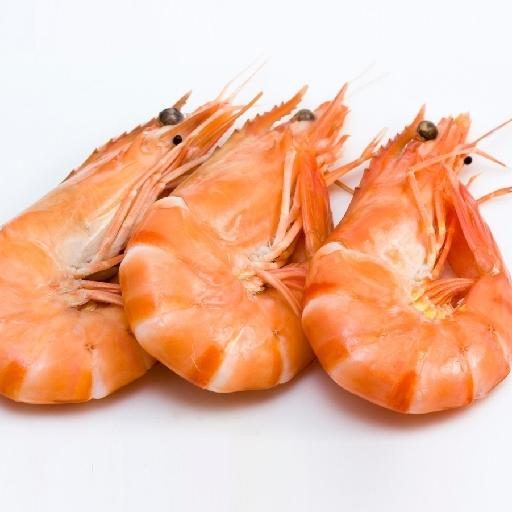 PLAT SALADE CREVETTES SAUCE COCKTAIL